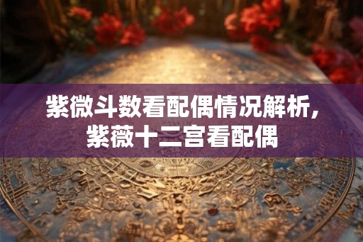 紫微斗数看配偶情况解析,紫薇十二宫看配偶