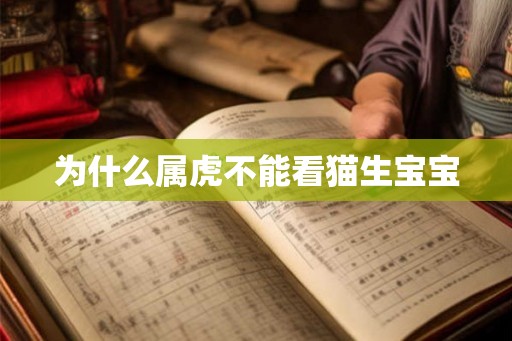 为什么属虎不能看猫生宝宝