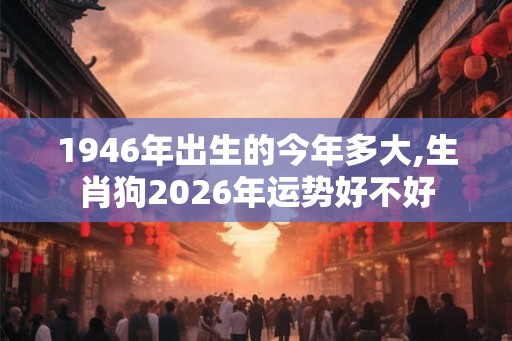 1946年出生的今年多大,生肖狗2026年运势好不好