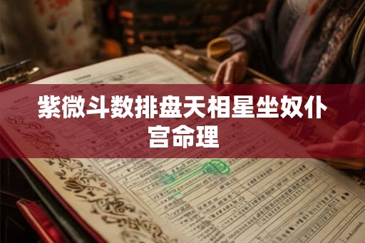 紫微斗数排盘天相星坐奴仆宫命理 紫微斗数排盘天相星坐奴仆宫命理