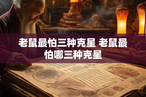 老鼠最怕三种克星 老鼠最怕哪三种克星