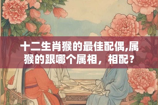 十二生肖猴的最佳配偶,属猴的跟哪个属相，相配？