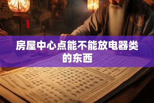 房屋中心点能不能放电器类的东西