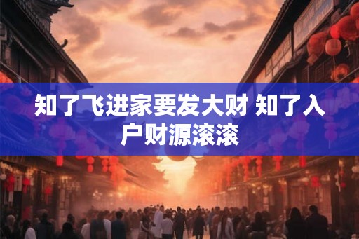 知了飞进家要发大财 知了入户财源滚滚