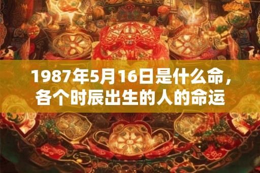 1987年5月16日是什么命，各个时辰出生的人的命运