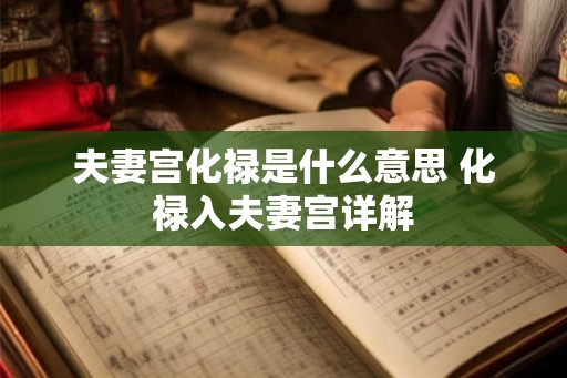 夫妻宫化禄是什么意思 化禄入夫妻宫详解