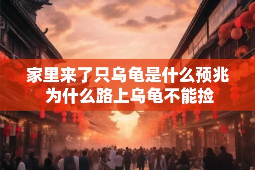 家里来了只乌龟是什么预兆 为什么路上乌龟不能捡
