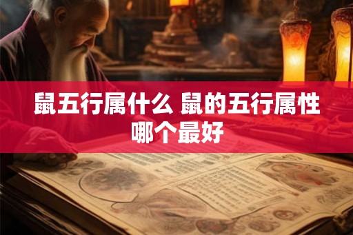 鼠五行属什么 鼠的五行属性哪个最好