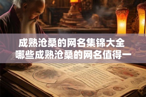 成熟沧桑的网名集锦大全 哪些成熟沧桑的网名值得一看