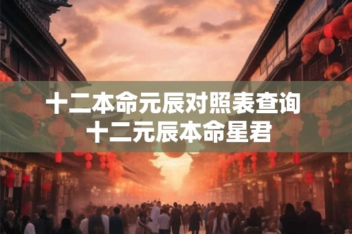 十二本命元辰对照表查询  十二元辰本命星君
