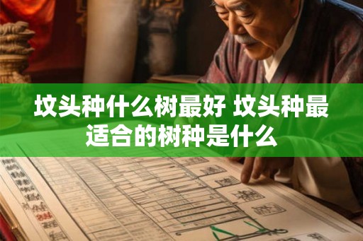 坟头种什么树最好 坟头种最适合的树种是什么