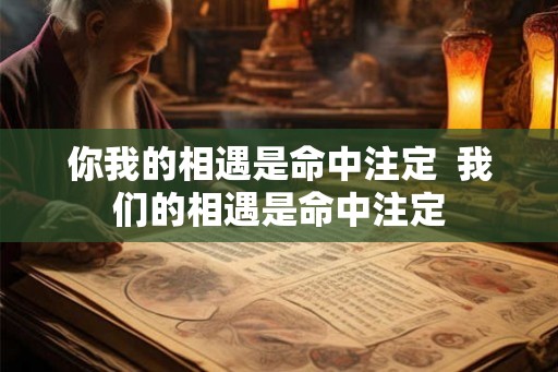 你我的相遇是命中注定 我们的相遇是命中注定 你我的相遇是命中注定 我们的相遇是命中注定