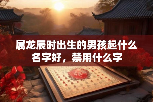 属龙辰时出生的男孩起什么名字好,禁用什么字 属龙辰时出生的男孩起什么名字好,禁用什么字
