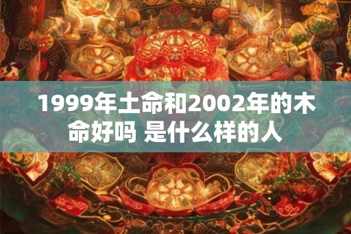 1999年土命和2002年的木命好吗 是什么样的人