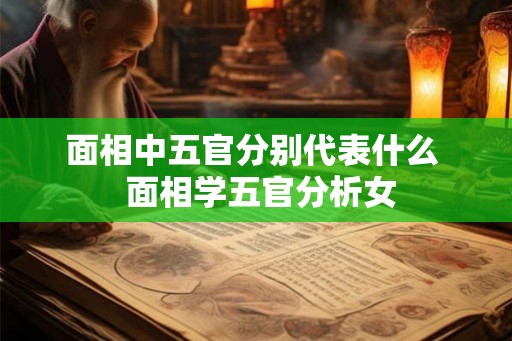 面相中五官分别代表什么 面相学五官分析女 面相中五官分别代表什么 面相学五官分析女