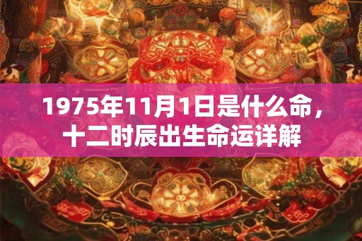 1975年11月1日是什么命，十二时辰出生命运详解