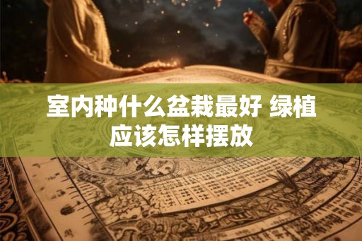 室内种什么盆栽最好 绿植应该怎样摆放 室内种什么盆栽最好 绿植应该怎样摆放