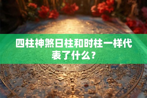 四柱神煞日柱和时柱一样代表了什么? 四柱神煞日柱和时柱一样代表了什么?