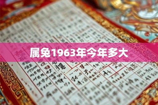 属兔1963年今年多大