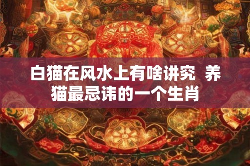白猫在风水上有啥讲究  养猫最忌讳的一个生肖