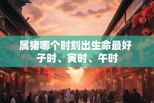 属猪哪个时刻出生命最好 子时、寅时、午时
