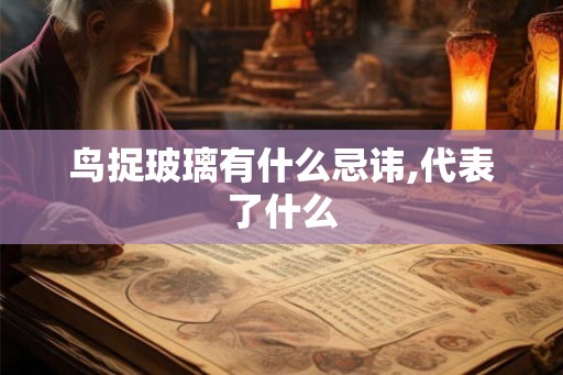 鸟捉玻璃有什么忌讳,代表了什么 鸟捉玻璃有什么忌讳,代表了什么