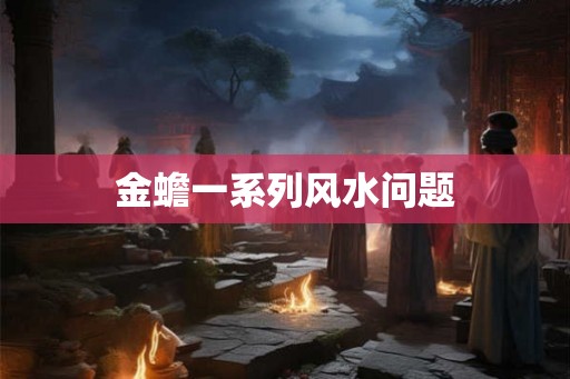 金蟾一系列风水问题