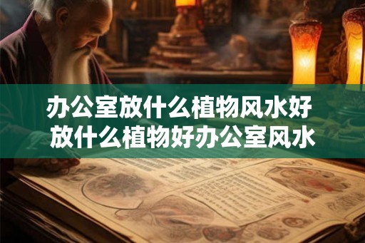 办公室放什么植物风水好 放什么植物好办公室风水