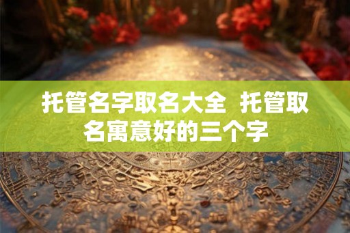 托管名字取名大全  托管取名寓意好的三个字