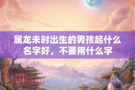 属龙未时出生的男孩起什么名字好，不要用什么字