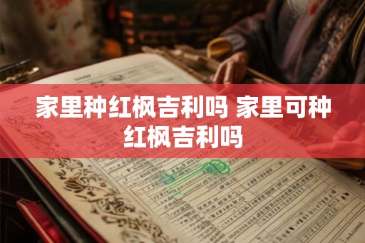 家里种红枫吉利吗 家里可种红枫吉利吗