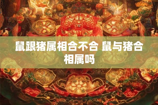 鼠跟猪属相合不合 鼠与猪合相属吗