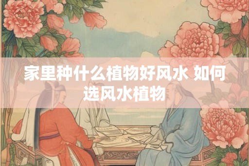 家里种什么植物好风水 如何选风水植物
