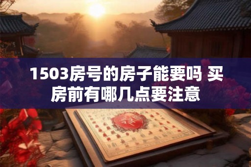 1503房号的房子能要吗 买房前有哪几点要注意