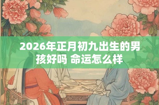 2026年正月初九出生的男孩好吗 命运怎么样