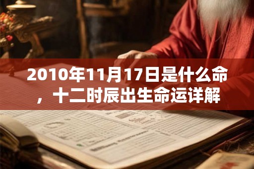 2010年11月17日是什么命，十二时辰出生命运详解