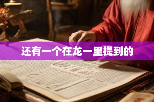 还有一个在龙一里提到的