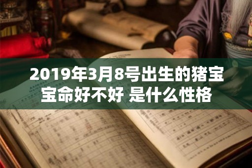 2019年3月8号出生的猪宝宝命好不好 是什么性格