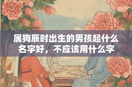 属狗辰时出生的男孩起什么名字好,不应该用什么字 属狗辰时出生的男孩起什么名字好,不应该用什么字