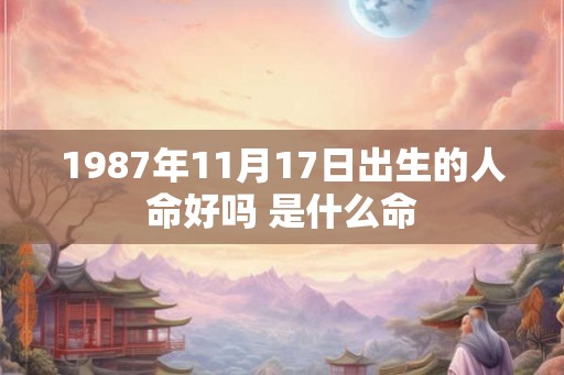 1987年11月17日出生的人命好吗 是什么命