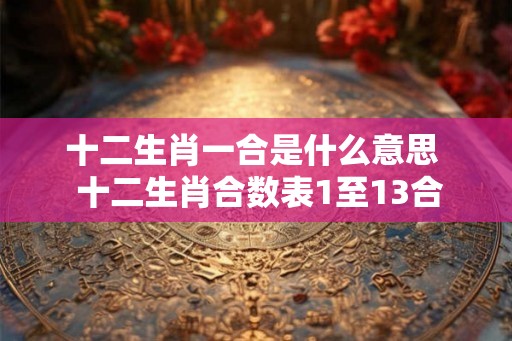 十二生肖一合是什么意思  十二生肖合数表1至13合