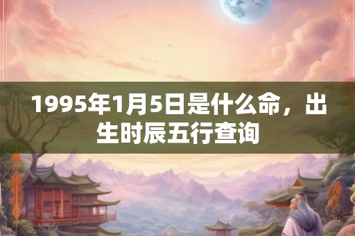 1995年1月5日是什么命，出生时辰五行查询