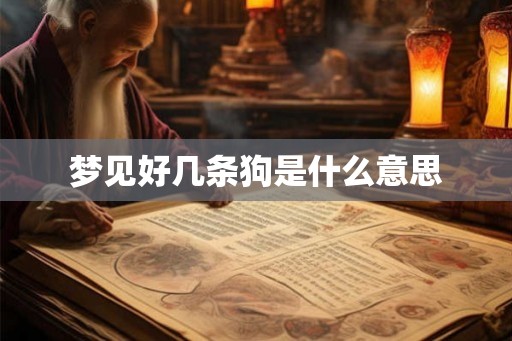 梦见好几条狗是什么意思