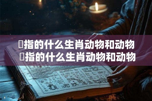 訉指的什么生肖动物和动物 訉指的什么生肖动物和动物