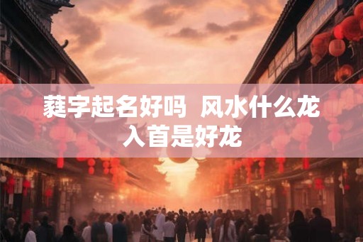 蕤字起名好吗  风水什么龙入首是好龙