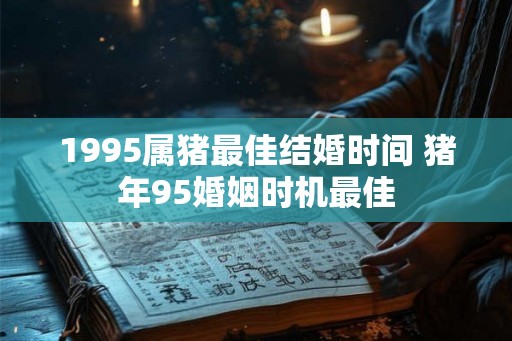 1995属猪最佳结婚时间 猪年95婚姻时机最佳