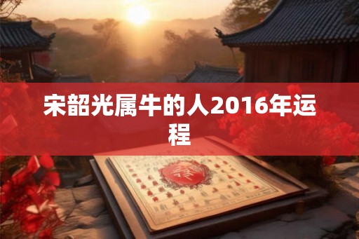 宋韶光属牛的人2016年运程