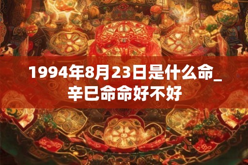 1994年8月23日是什么命_辛巳命命好不好