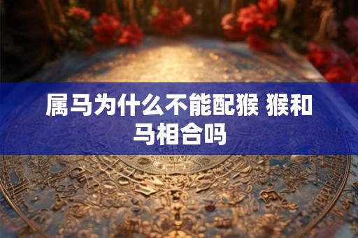 属马为什么不能配猴 猴和马相合吗
