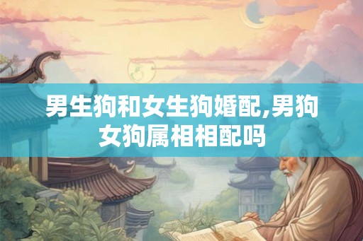 男生狗和女生狗婚配,男狗女狗属相相配吗
